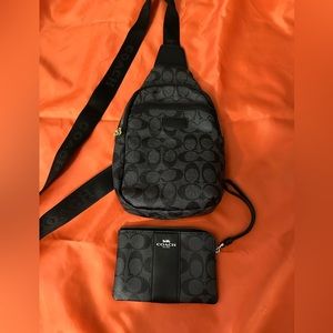 Coach bag with small wristlet